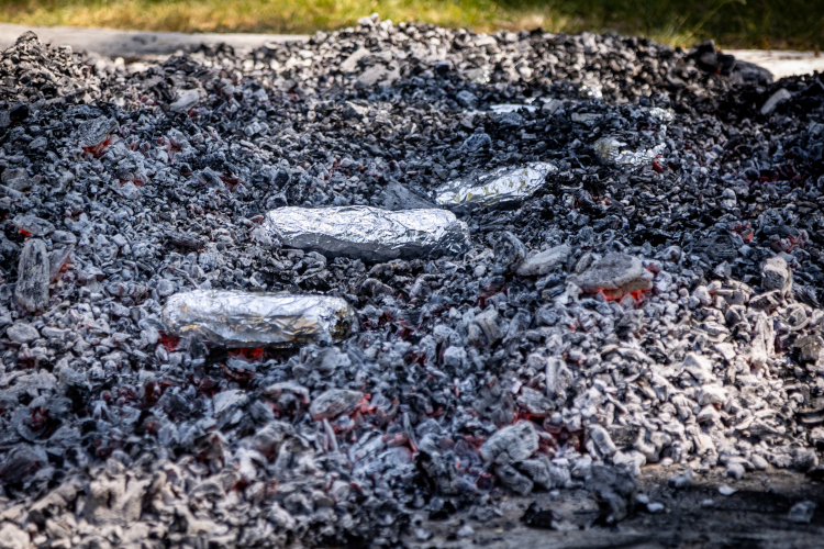 Grillades en plein air